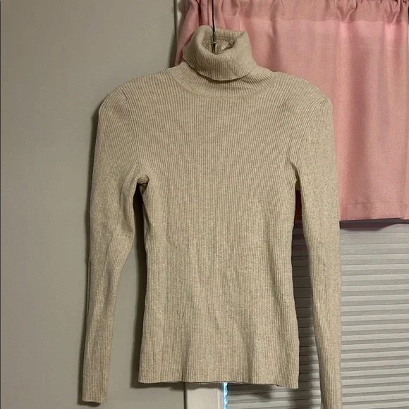 GAP Beige Turtleneck Sweater - Picture 1 of 2